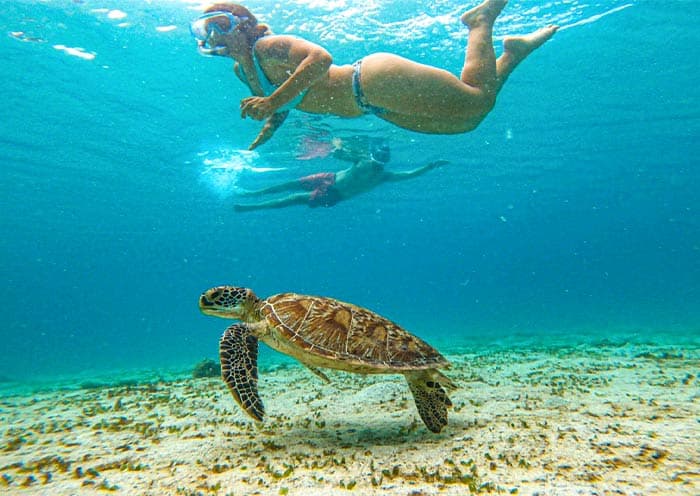 Palawan Tour