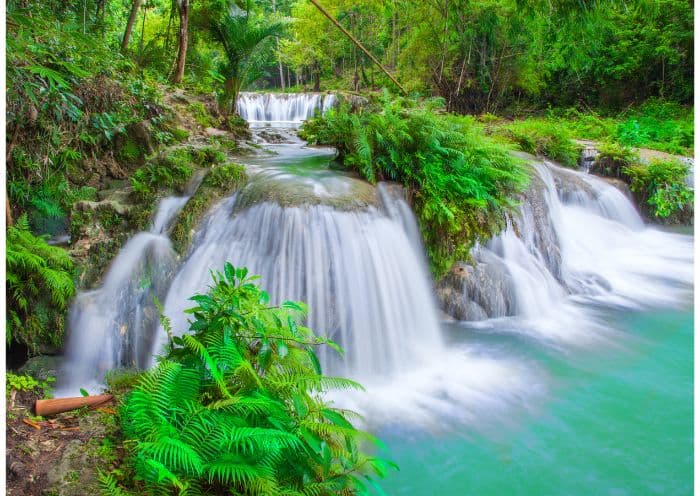 Bohol Tour