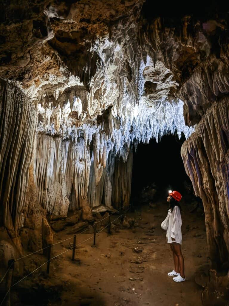 Bohol Tour